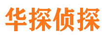 南岸侦探公司